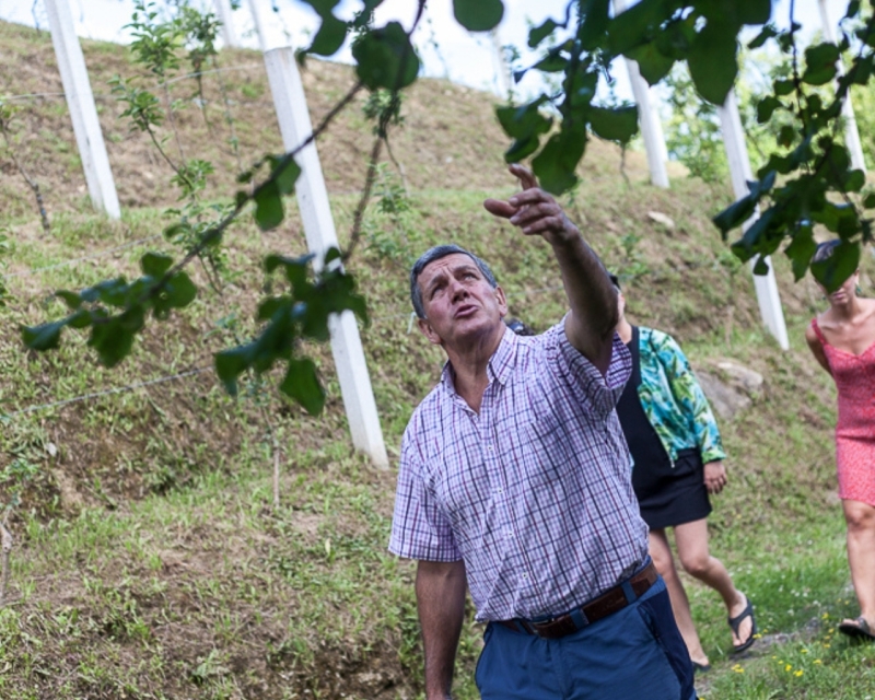 VISITA Y COMIDA EN LA SIDRERÍA OLA VISITA Y COMIDA EN LA SIDRERÍA OLA