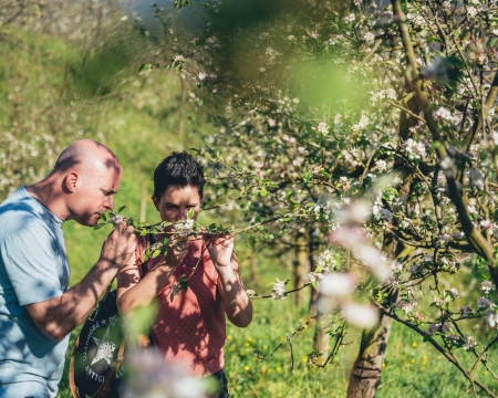 VISITA Y COMIDA EN LA SIDRERÍA ABURUZA