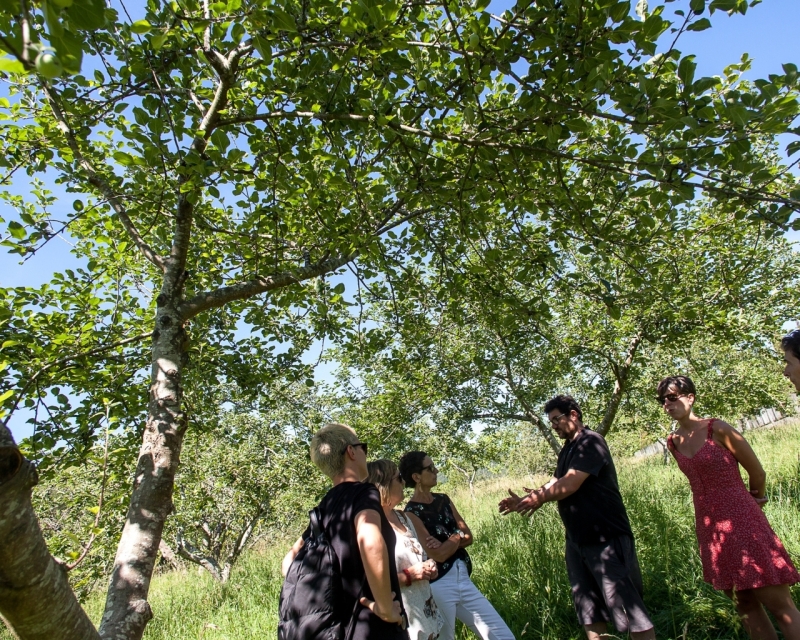 Guided tour and lunch in Astarbe