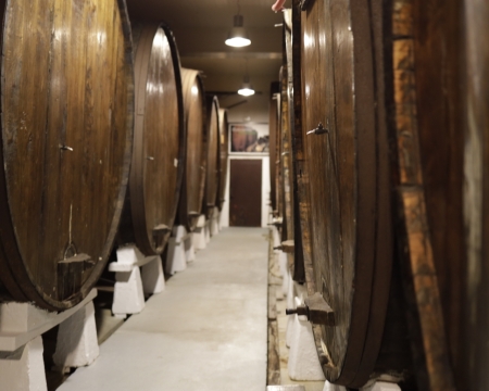 Visita guiada en Bereziartua