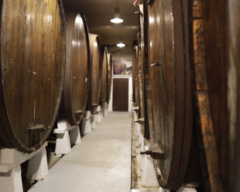 Guided tour in Bereziartua