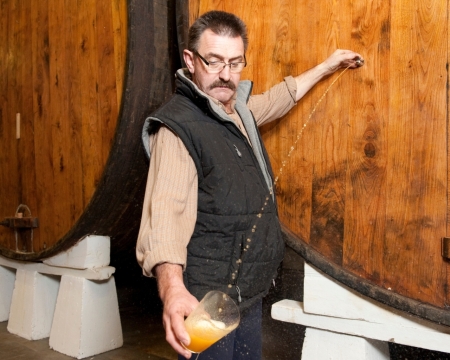 Guided tour in Bereziartua