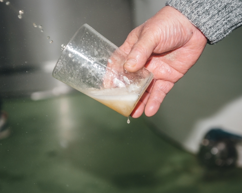 Guided visit and lunch at Gaztañaga Cider House