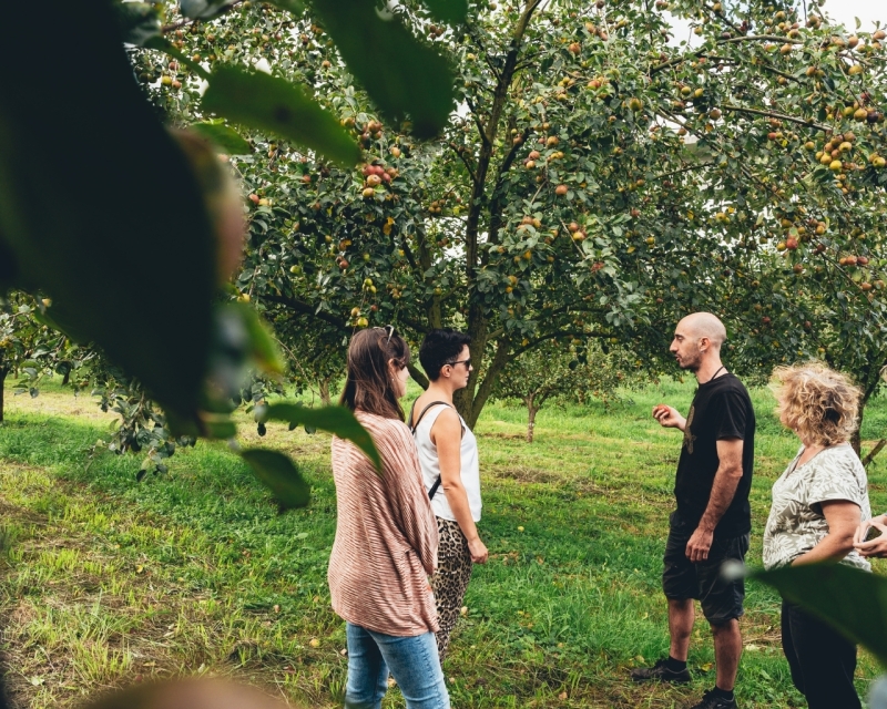 VISITA EN LA BODEGA IPARRAGIRRE