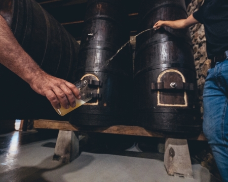 GUIDED TOUR AND MEAL IN MIZPIRADI