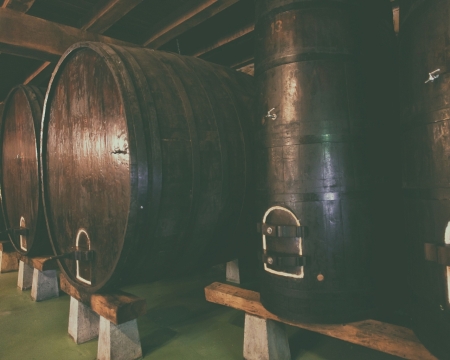 Visita y comida en la Sidrería Mizpiradi