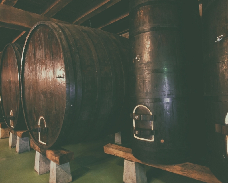 Visita y comida en la Sidrería Mizpiradi