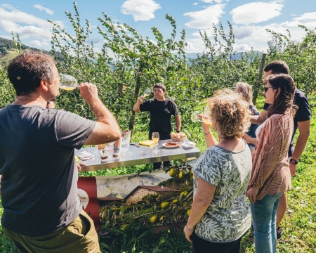 GUIDED TOUR WITH MEAL IN OIHARTE CIDER HOUSE
