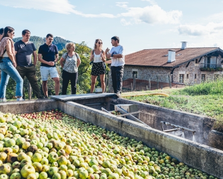 GUIDED TOUR WITH MEAL IN OIHARTE CIDER HOUSE