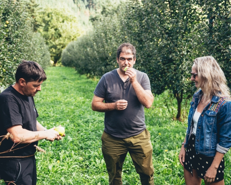 GUIDED TOUR WITH MEAL IN OIHARTE CIDER HOUSE