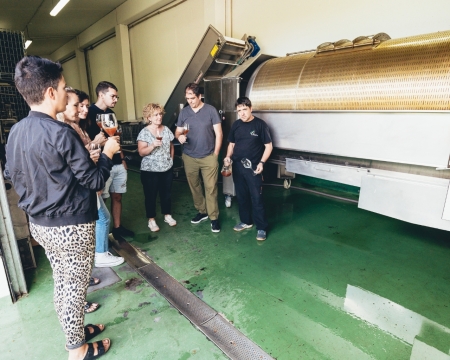 VISITA Y COMIDA EN LA SIDRERÍA OIHARTE