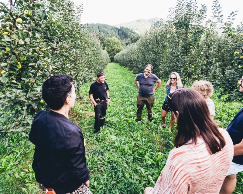 GUIDED TOUR WITH MEAL IN OIHARTE CIDER HOUSE