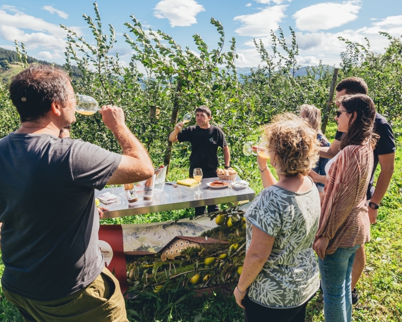 GUIDED TOUR WITH MEAL IN OIHARTE CIDER HOUSE