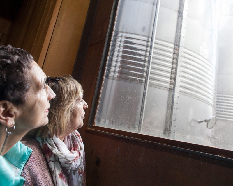 VISITÉ GUIDÉE ET DÉJEUNER DANS LA CIDRERIE SAIZAR VISITÉ GUIDÉE ET DÉJEUNER DANS LA CIDRERIE SAIZAR