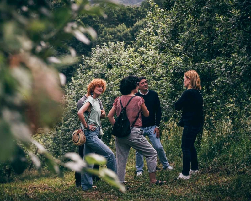 EXCURSIÓN A UNA SIDRERÍA VASCA CON TRANSPORTE
