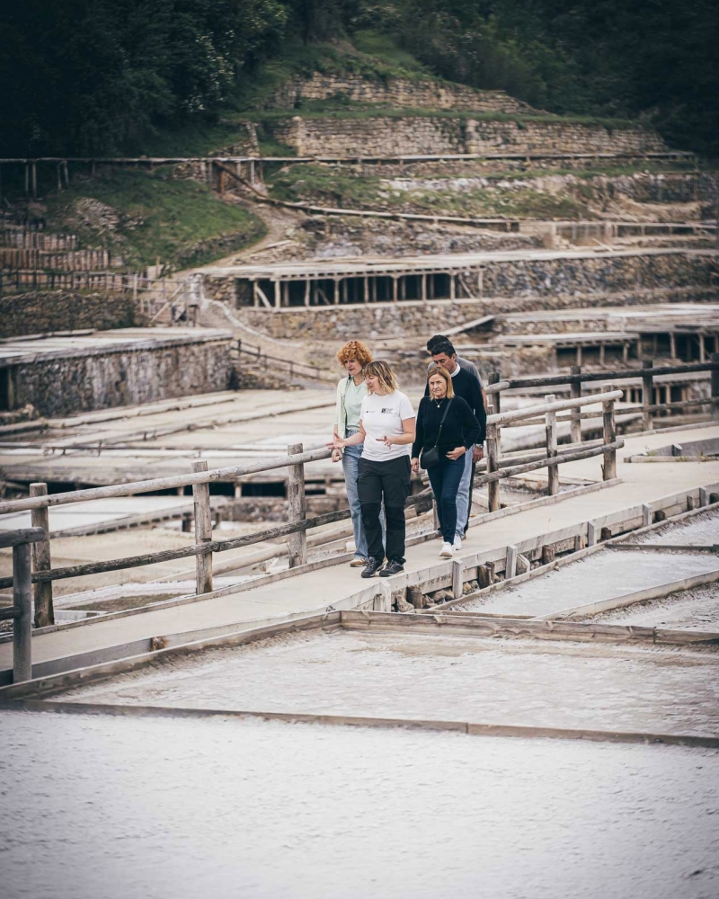 VALLE SALADO DE AÑANA Y SIDRERIA TREBIÑU