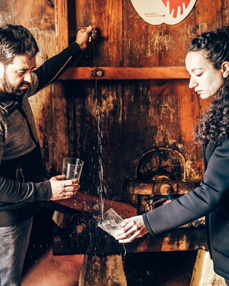 DEGUSTA LA BODEGA PETRITEGI DEGUSTA LA BODEGA PETRITEGI