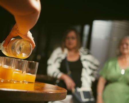 DEGUSTA LA BODEGA PETRITEGI DEGUSTA LA BODEGA PETRITEGI