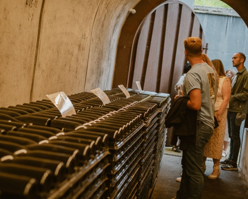 TASTE PETRITEGI CELLAR