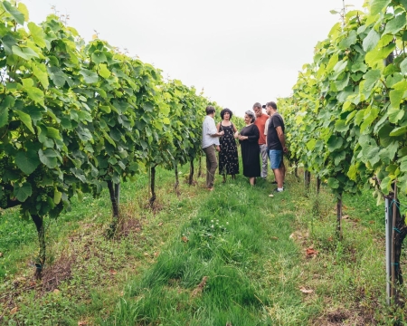 Bodegas de sidra y txakoli en la Costa Vasca en Sagardoa Route