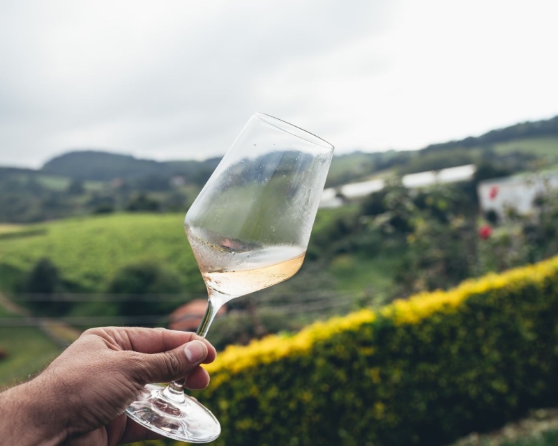 Bodegas de sidra y txakoli en la Costa Vasca en Sagardoa Route