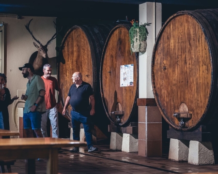 Bodegas de sidra y txakoli en la Costa Vasca en Sagardoa Route