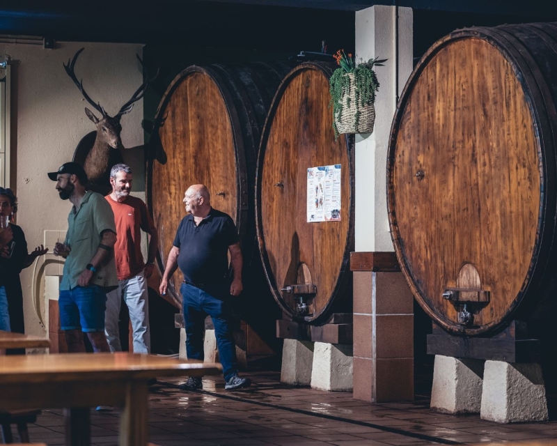 Bodegas de sidra y txakoli en la Costa Vasca en Sagardoa Route