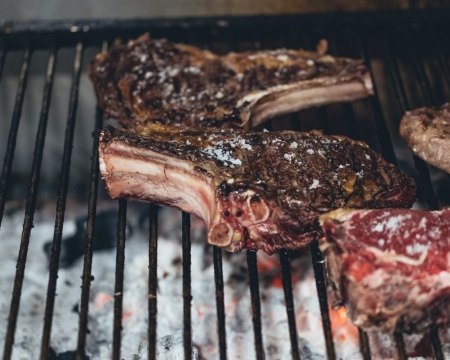 SAGARDOTEGIA ETA TXAKOLINDEGIA KOSTALDEAN