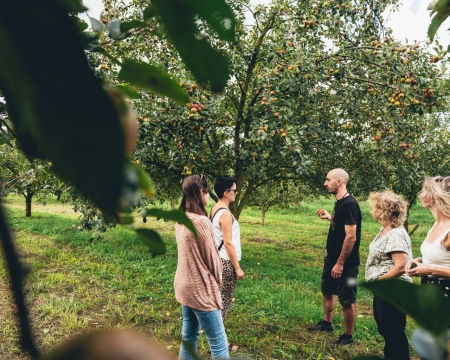 Visite guidée et déjeuner dans une cidrerie avec transport