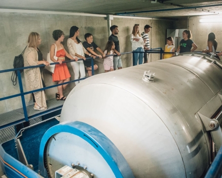 EXPERIENCIA EN BODEGA DE SIDRA TRANSPORTE INCLUIDO