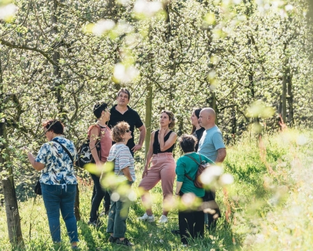 CIDER HOUSE EXPERIENCE