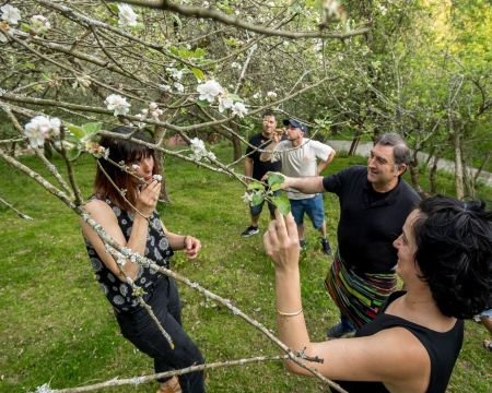 CIDRERIE, FROMAGERIE ET BASQUE FERME