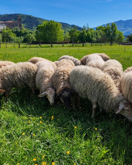 Comprar sidrería, quesería y caserío vasco en Sagardoa Route