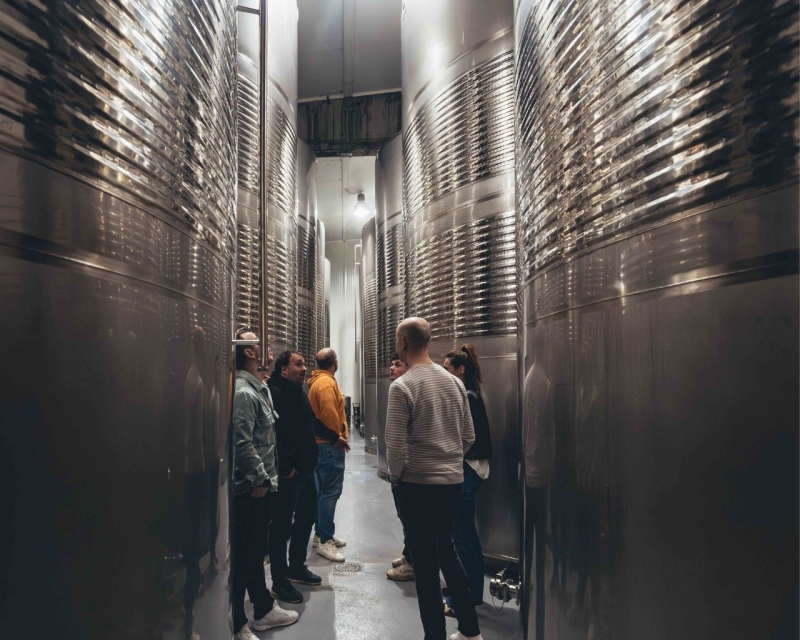 Guided tour in Bereziartua