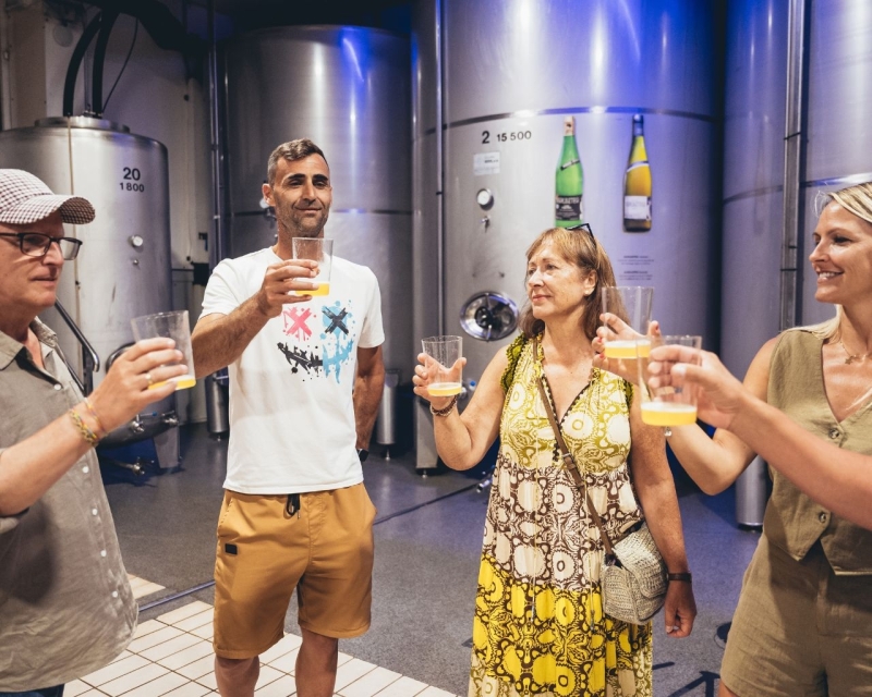 Degustación guiada y comida en Barkaiztegi Degustación guiada y comida en Barkaiztegi