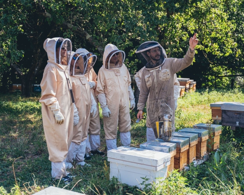 APICULTURE, MARCHÉ FERMIER ET CAVE À CIDRE