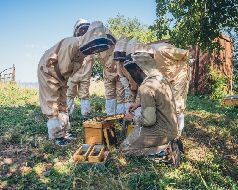 APICULTURE, MARCHÉ FERMIER ET CAVE À CIDRE