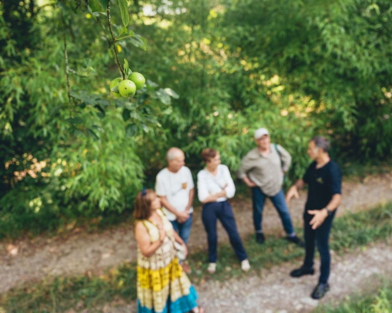 Reservar apicultura, mercado de productores y bodega de sidra Reservar apicultura, mercado de productores y bodega de sidra