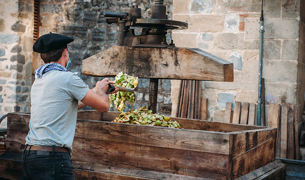 Triturado y prensado