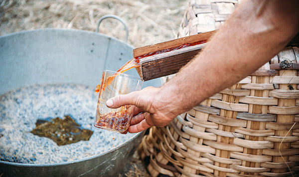 Mosto y fermentación
