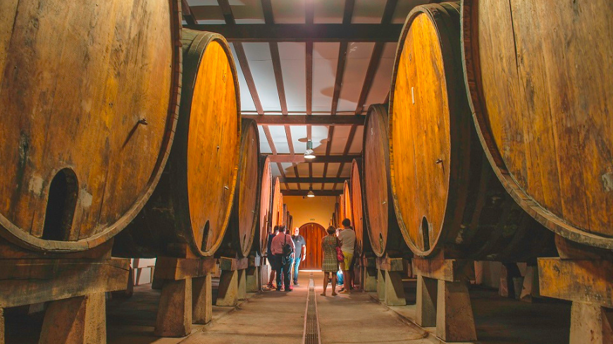 Albaola y Bodega de Sidra