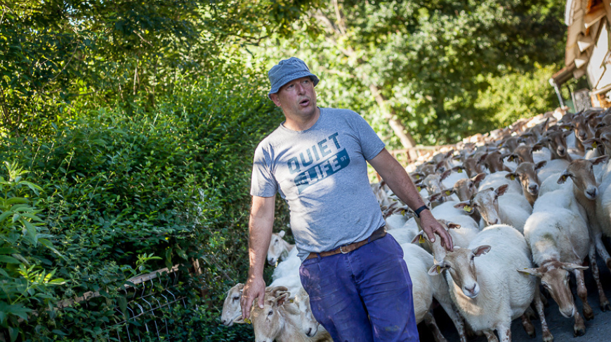 Des pressoir centenaires et des fromageries uniques