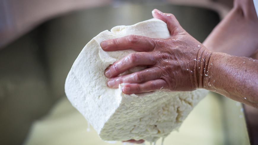 Des pressoir centenaires et des fromageries uniques