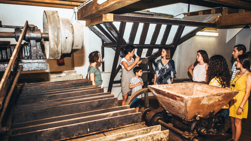 Guided visits in Basque cider celars