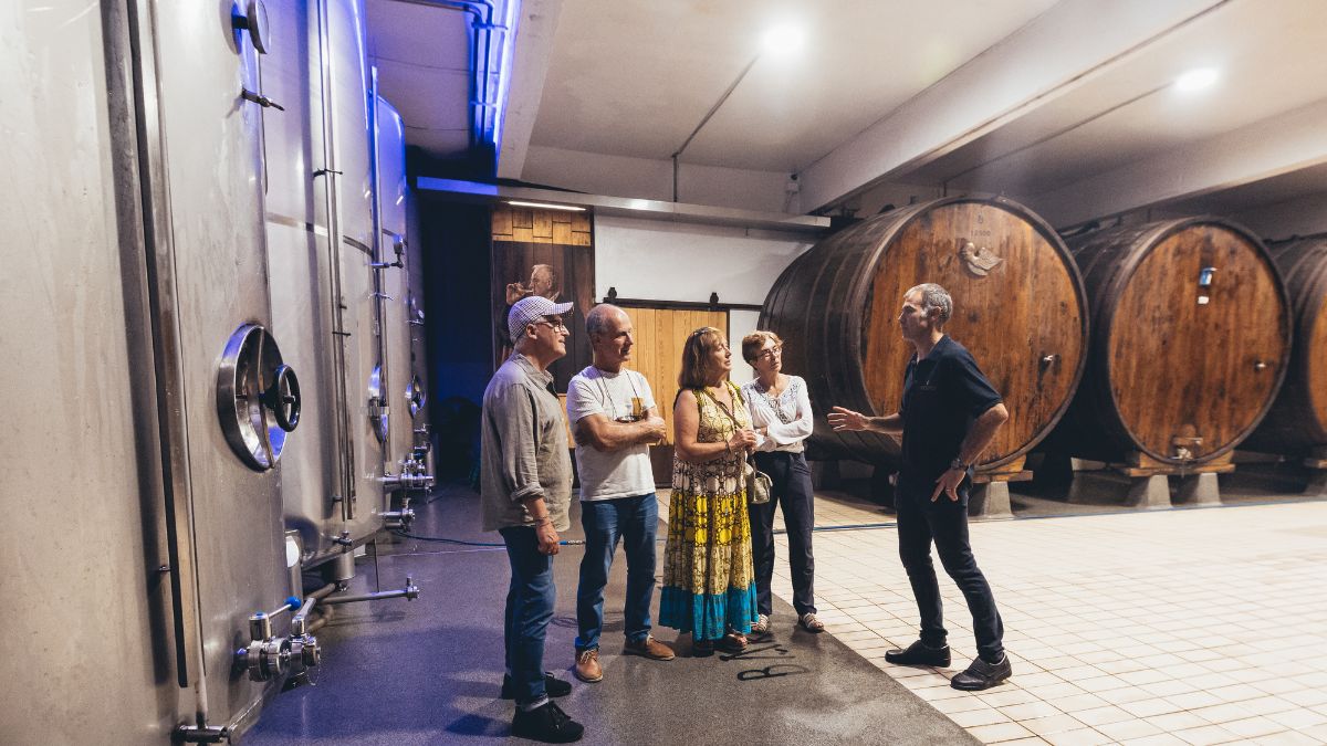 experiencia apicultura y bodega de sidra
