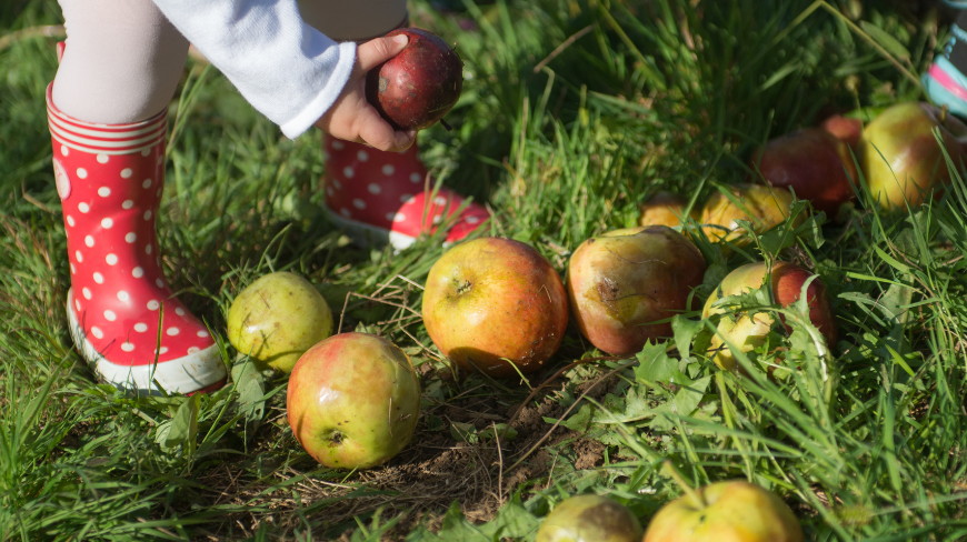 BAsque cider houses in family