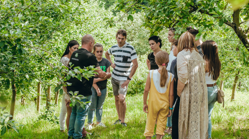 Guided visits in Basque cider celars