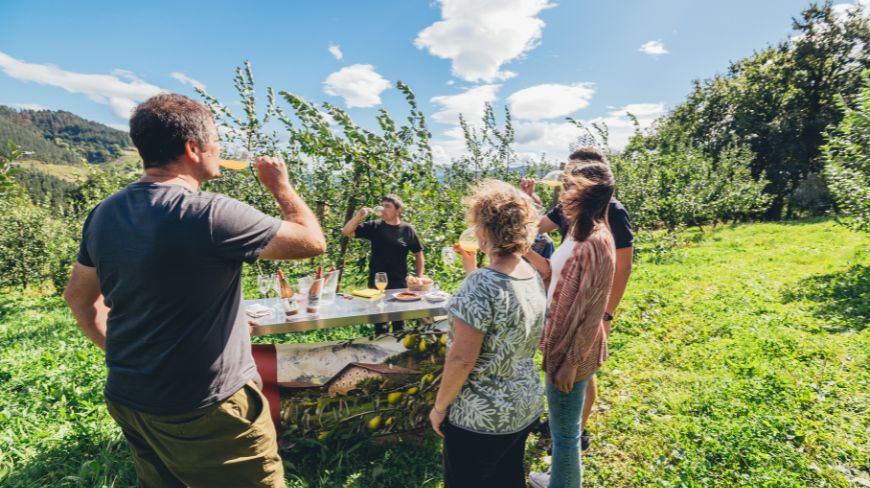cosecha manzana