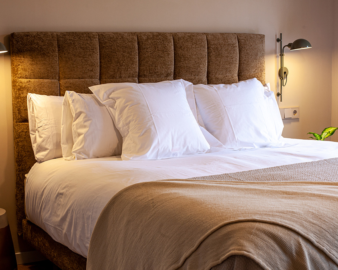 OLIVI 1948 - APARTAMENTO RURAL