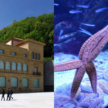 santelmo_aquarium.jpg